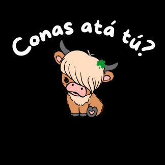 How are you? In Irish